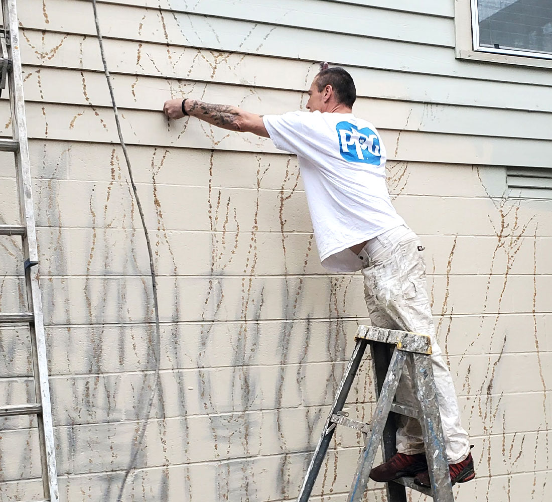 About Us Prestige Painting